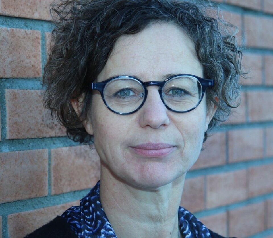 – Omorganisering tar tid. Det er også krevende for de ansatte, sier professor Aud Obstfelder ved Senter for omsorgsforskning.