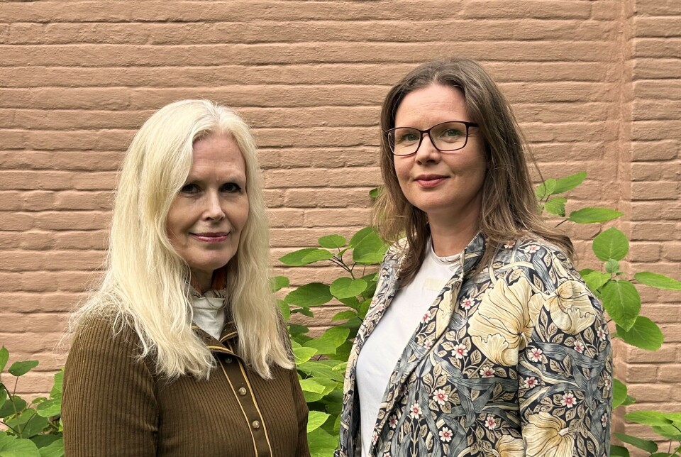 For Europa, og også for Norge, handler det om å forstå de nye spillereglene, mener forskerne Iselin Stensdal og Gørild Heggelund.