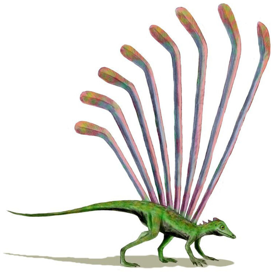 Longisquama insignis, en annen reptil med merkelige utvekster.