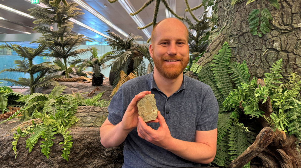 Stephan Spiekman med et fossil av Mirasaura.