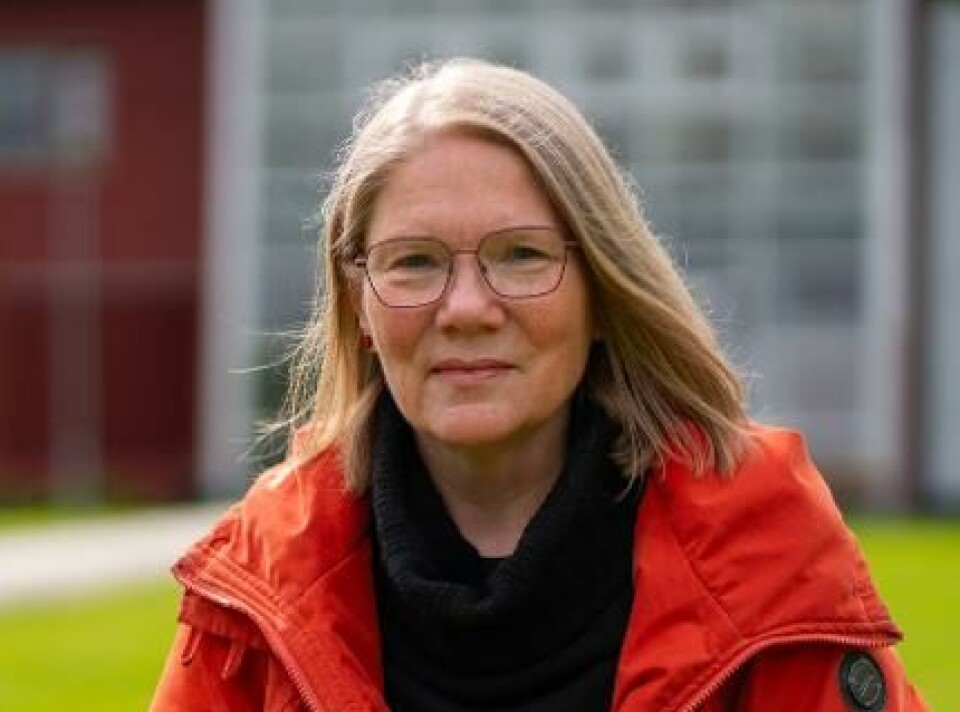 – I de tidligere flyvningene landet nyttelasten i havet og gikk tapt. Nå skal vi plukke den opp fra havet, sier prosjektleder Ingrid Mann.