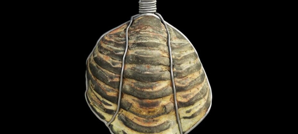 Det romerske smykket er 460 millioner år gammelt