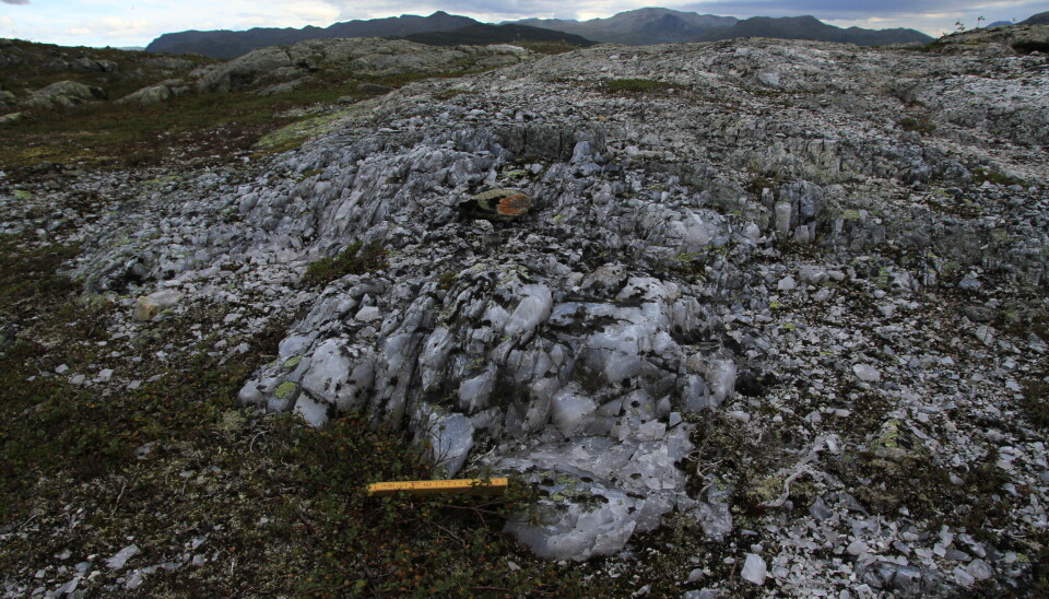 Deler av steinbruddet i Hemsedal. Kvartsitten løsner i både blokker, skiver og biter fra fjellet.