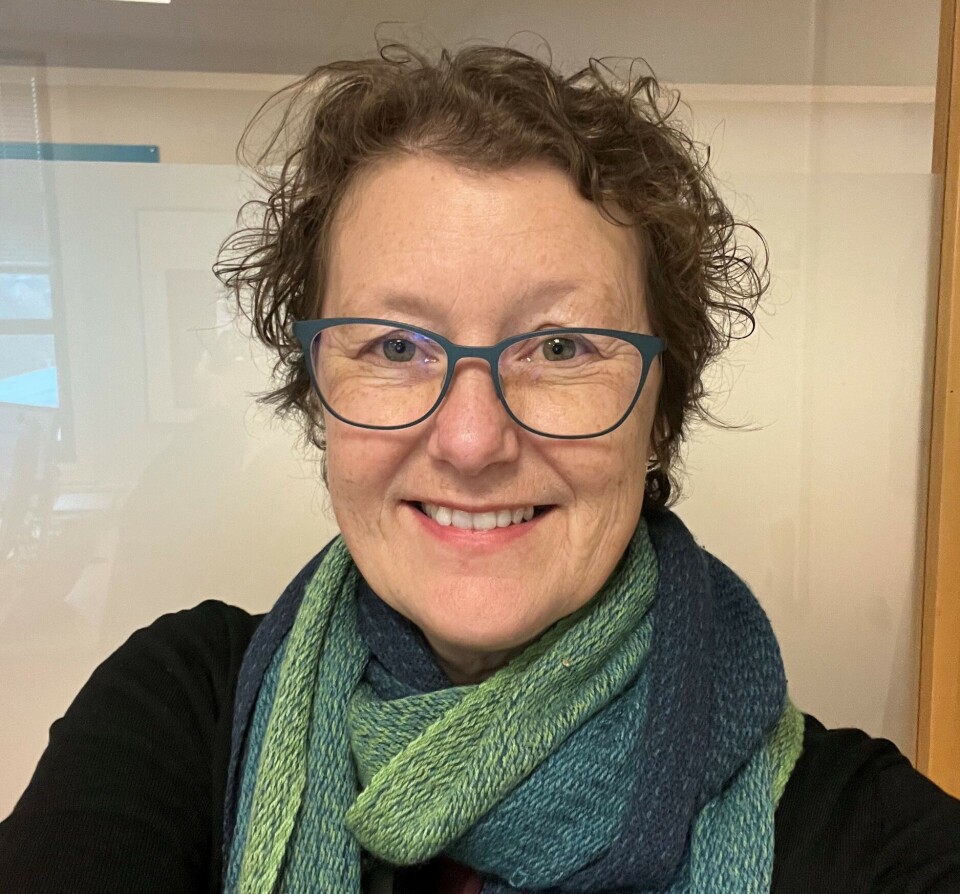 Astrid Nyland er arkeolog og forsker ved Universitetet i Stavanger. Hun har blant annet spesialisert seg på steinbryting og bergkunst som del av historiefortelling i steinaldersamfunn.