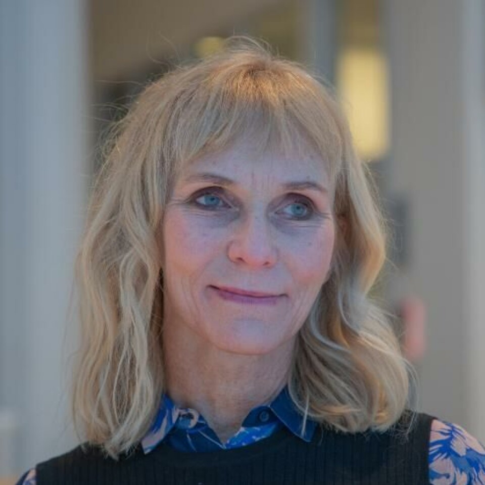Catharina Elisabeth Arfwedson Wang er professor og psykologspesialist ved UiT Norges arktiske universitet.