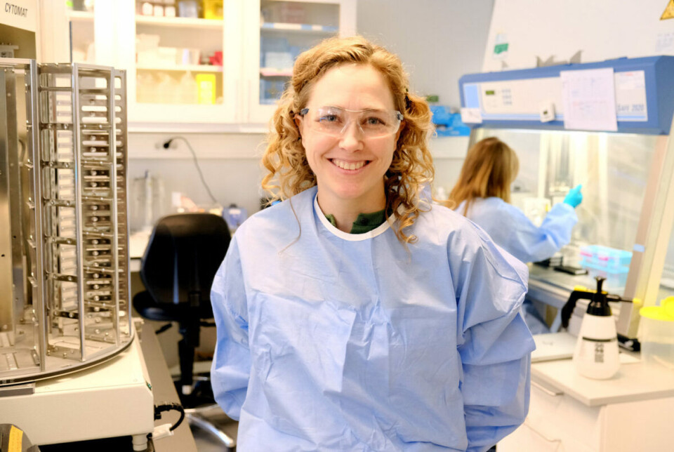 Hanne Haslene-Hox forsker for å lage bedre celleterapier.