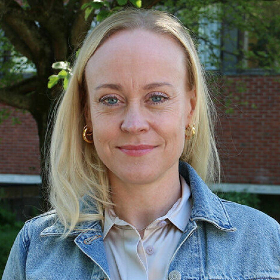Professor i lingvistikk og kommunikasjonsfilosofi Ingrid Lossius Falkum ser at eldre barn tar ting meir bokstavleg enn yngre barn. Så jamnar det seg ut etterkvart.