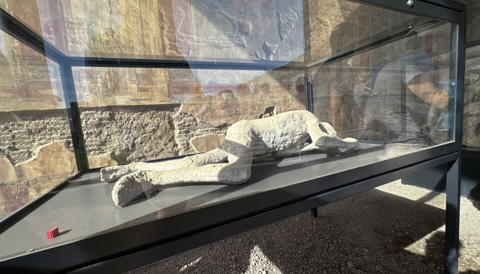 Avstøpning av død person i Pompeii. Bildet viser en gipsavstøpning av en død person som er stilt ut i et glassmonter i Pompeii.