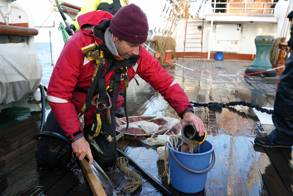 Maxime Geoffroy, som er forsker ved UiT og Memorial University of Newfoundland, med reisens første innsamling av zooplankton. En person sitter på dekk på et skip ved siden av forskningsutstyr og en bøtte