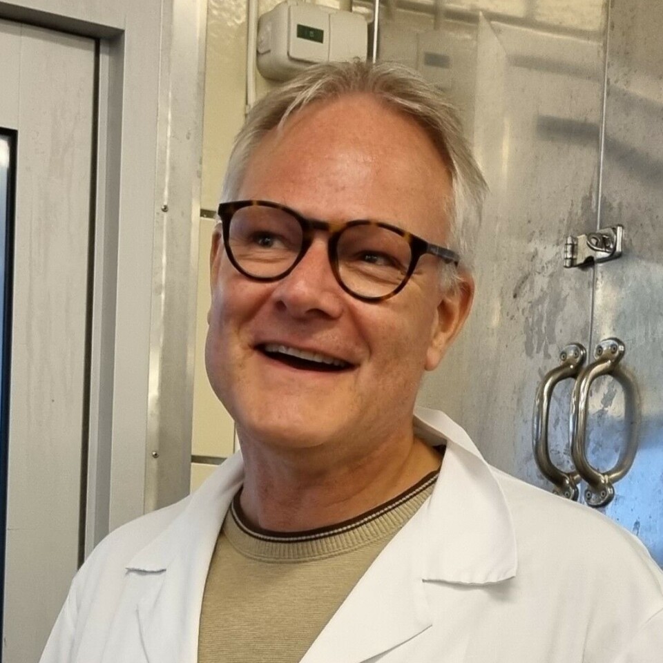 Rune Rødbotten mener vi bør spise hele dyret, også blodet. Portrett Rune Rødbotten