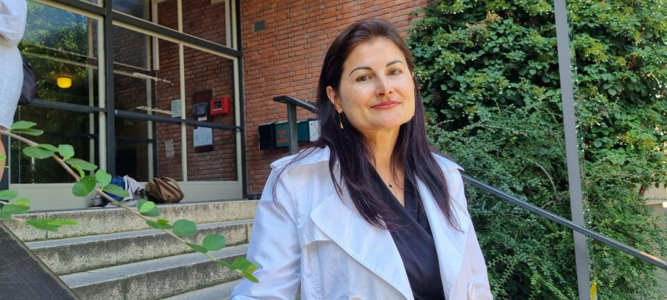 Forskeren har villet hjelpe evnerike barn siden hun flyttet til Norge: – Så traff jeg janteloven