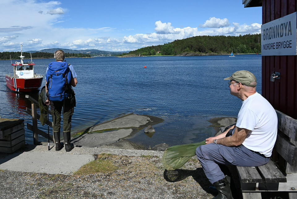 Flytting av heroringvinger fra en øy til en annen i Oslofjorden skal gjøre arten mindre truet av utryddelse.