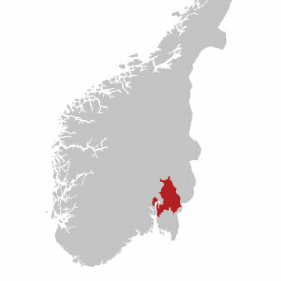 5000 kvadratkilometer med tareskog er allerede blitt borte. Til sammenlikning er Akershus fylke 5 472 kvadratkilometer stort.
