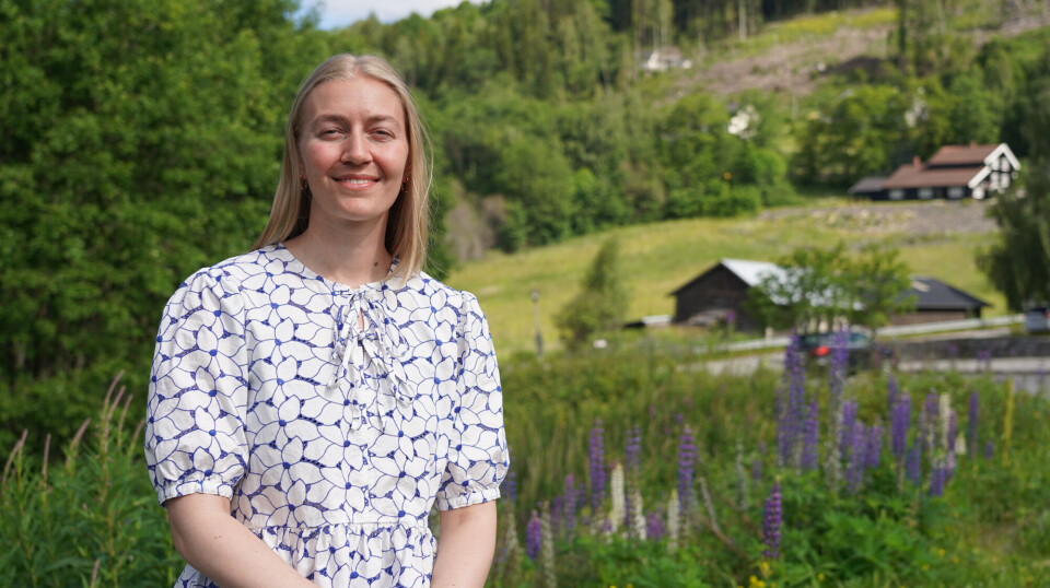 Synne Bråten har forsket på treindustri i Solør-regionen i Innlandet. Bedriftene her ønsker å gjøre egen industri mer miljøvennlig.