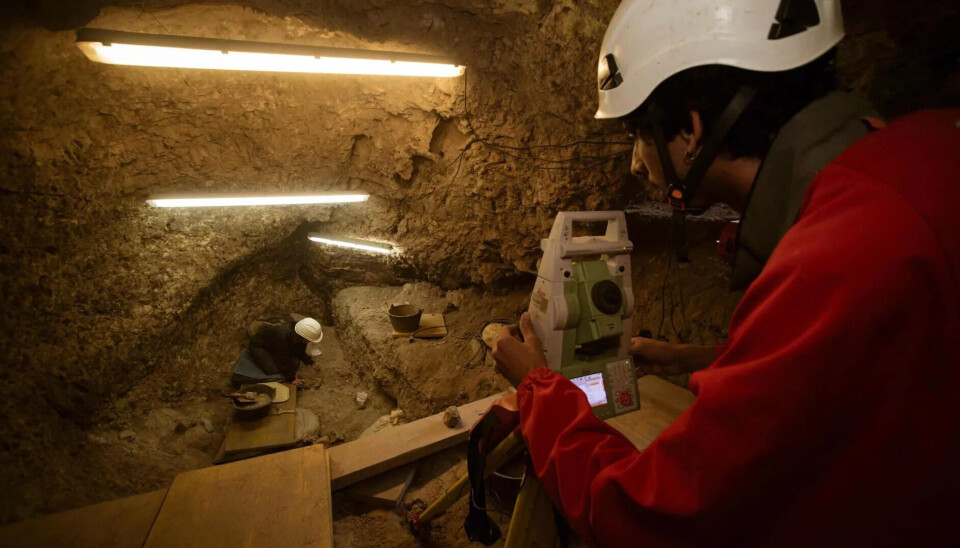 650 knokler i en spansk grotte gir innblikk i en mørk europeisk fortid som forskerne sjelden har tilgang til. Person med rød genser og hvit hjelm sitter med apparat i en gruve opplyst med lyslister. En person i hvit hjelm sitter lenger ned i gruven og arbeider.