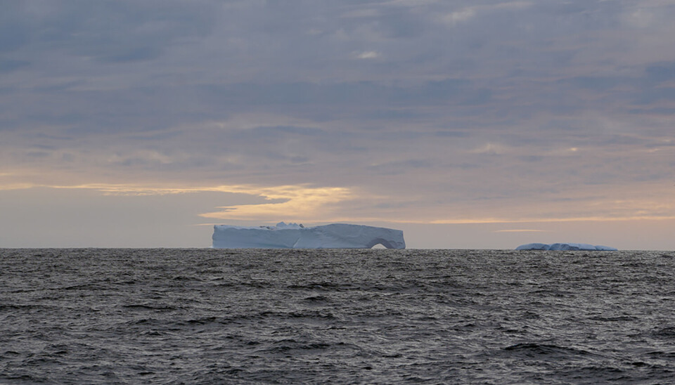 Isfjell utenfor kysten av Kalaallit Nunaat (Grønland). Isfjell i havet