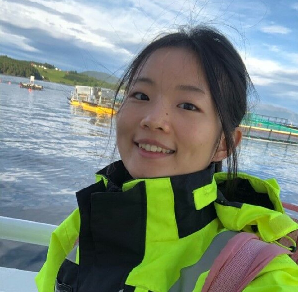 – Dårlig velferd og stress henger sammen, sier Jingwen Ding. Hun tar doktorgrad ved Institutt for biologiske fag på NTNU i Ålesund.