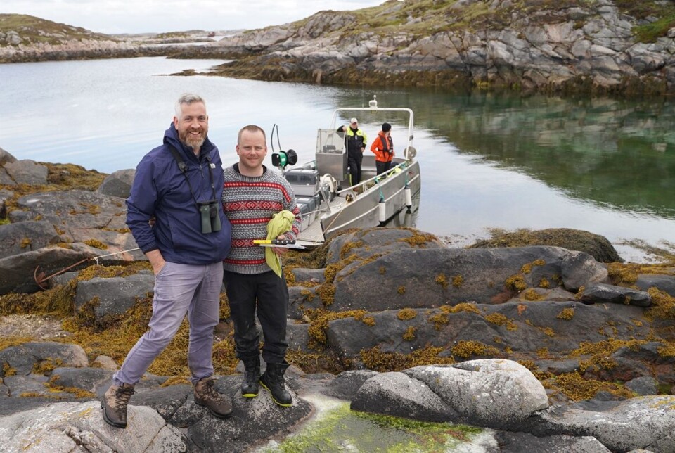 Christopher O’ Sullivan og Hans Kristian Werkland, lokal kjentmann og fugleentusiast, samler inn havørnunger på Frøya.