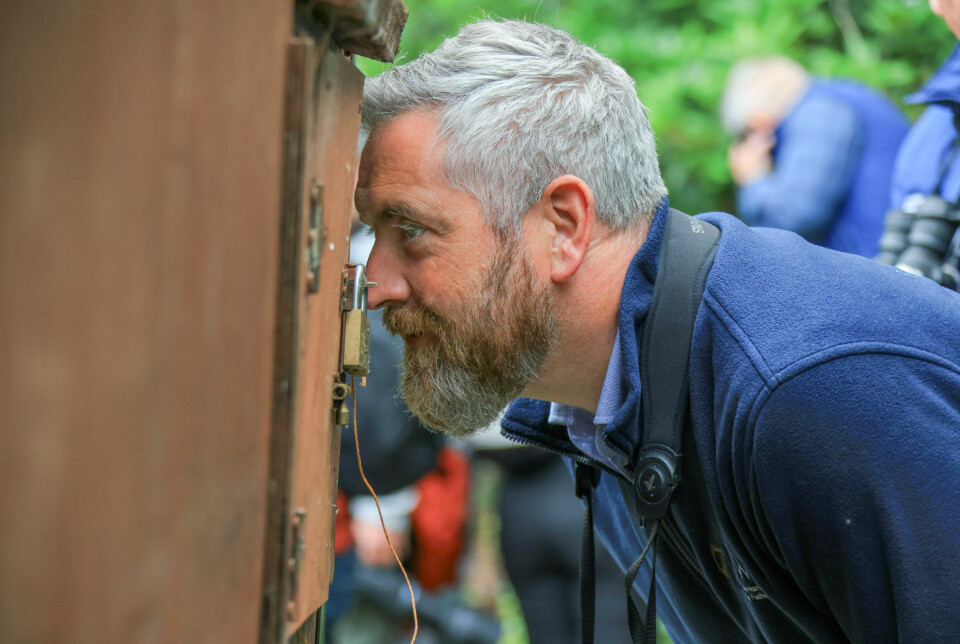 Christopher O’ Sullivan, Irlands minister for natur, arv og biodiversitet, inspiserer en av ørnene før slippet.
