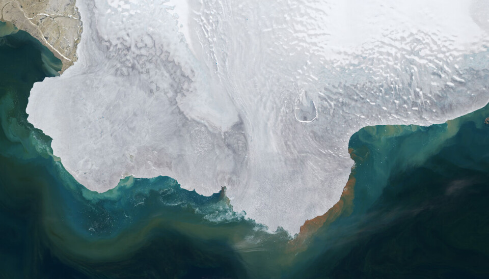 Satellittbilde fra NASA som viser massiv issmelting under sommeren 2024 på Nordaustlandet, Svalbard. Smeltingen førte til at sedimenter strømmet ut i havet, som ga spesielle farger i havet, ifølge NASA.