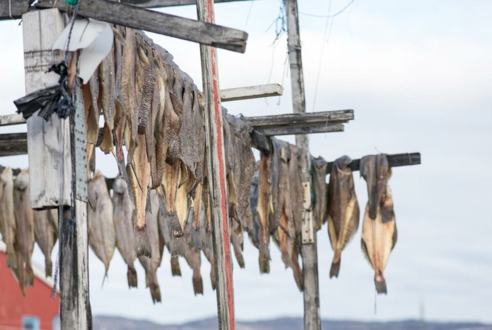 Tørrfisk kan være en god kilde til kalsium.
