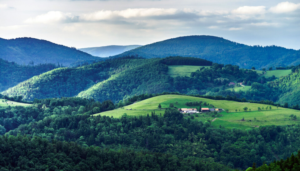 Åslandskapet i Alsace i dagens Frankrike. Det var her i traktene at disse menneskene levde for over 6.000 år siden.
