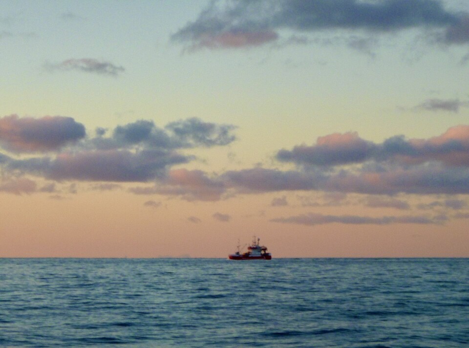 Jentoft er bekymret for at skreien forsvinner dersom det ikke blir satt i gang tiltak for å ta vare på den. Fisket i Lofoten, slik som denne fiskebåten, blir ikke det samme uten skreien.