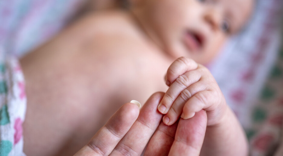 Fødselstallene fortsetter å øke. Her får nordmenn flest barn
