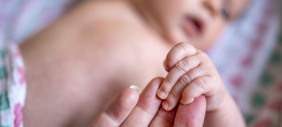 Fødselstallene fortsetter å øke. Her får nordmenn flest barn