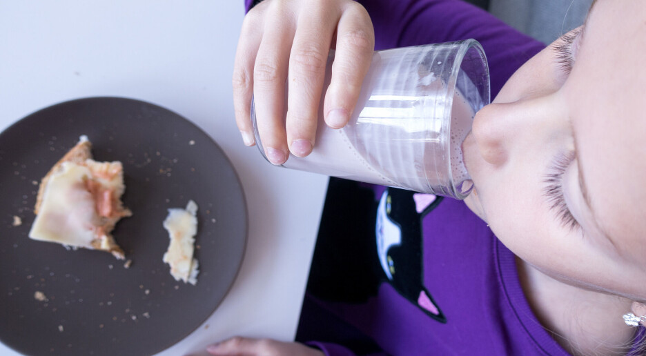 Dette er inntekten barnefamilien trenger for å ha nok, sier forsker