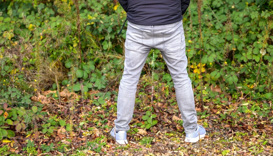 Å tisse stående er praktisk utendørs, men er det også den beste måten å tømme blæra på? Underkroppen til en mann som står og tisser utendørs på skogbunn med grønne blader. Han har lys grå olabukse og svart jakke.