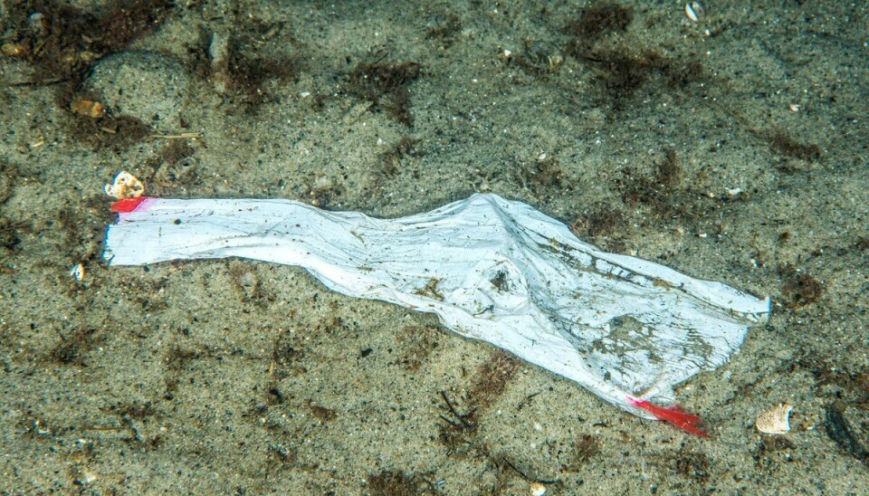 Plast i havet kan bli til mikroplast.