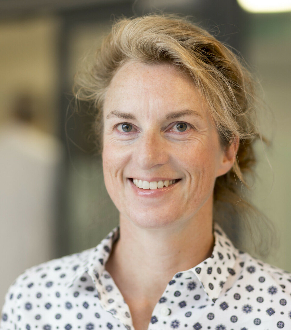Asta Kristine Håberg er professor og hjerneforsker ved NTNU.