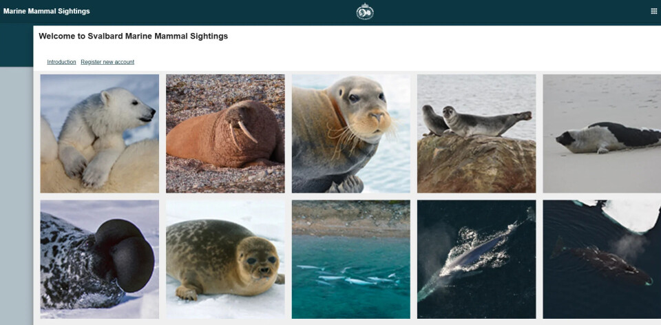 Folk som oppsøker Svalbards villmark oppfordres til å registrere observasjoner av hvaler, delfiner, hvalross, seler og isbjørner på nettstedet Marine Mammal Sightings.