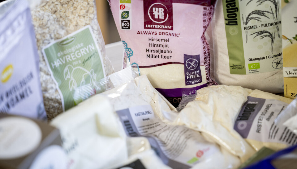 Noen sier nei takk til gluten selv om de ikke har glutenintoleranse. Glutenfrie produkter som havregryn og hirsemel er stilt opp ved siden av hverandre.