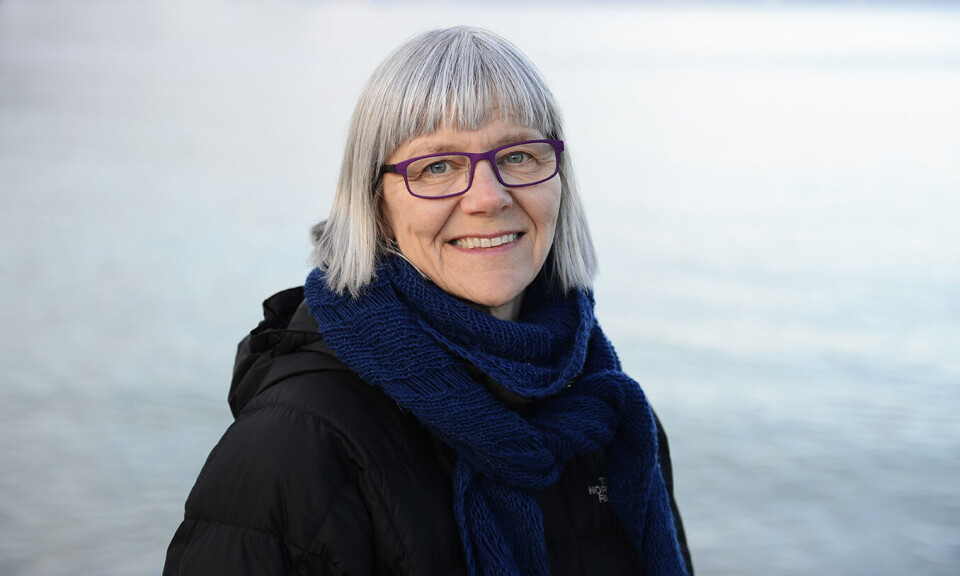– Jeg ønsker at en femårig, direkte jordmorutdanning skal prøves ut og evalueres, sier Ellen Blix, professor ved Institutt for sykepleie og helsefremmende arbeid, OsloMet