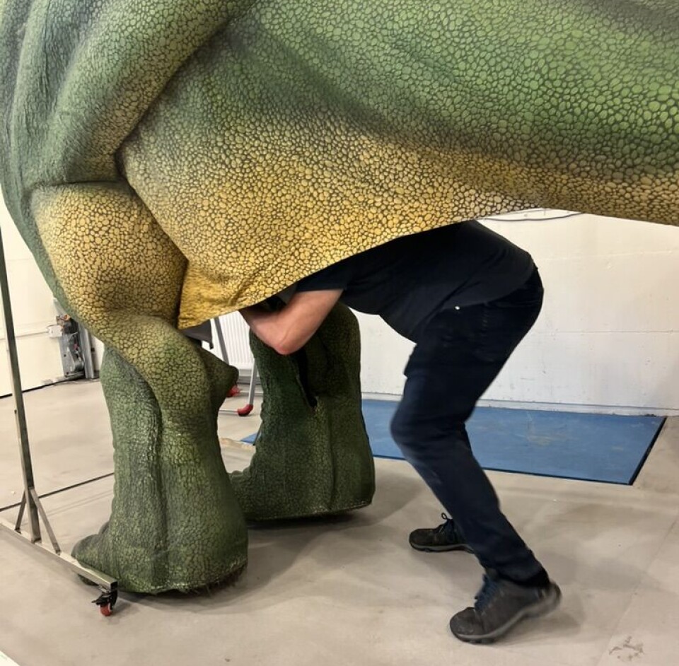 – Vi kommer oss inn gjennom rumpa deres, sier dinosaurforsker Jørn Hurum og smetter inn.