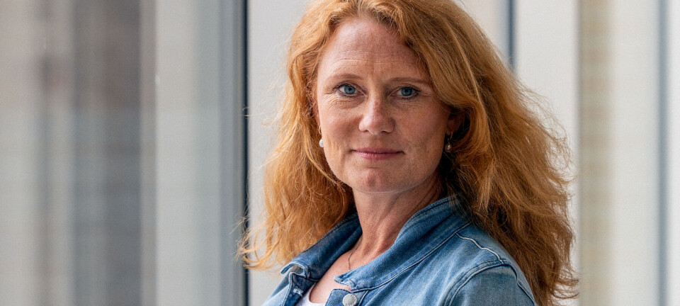 Politikerne vil ikke snakke om noe av det aller viktigste i norsk politikk, ifølge forsker