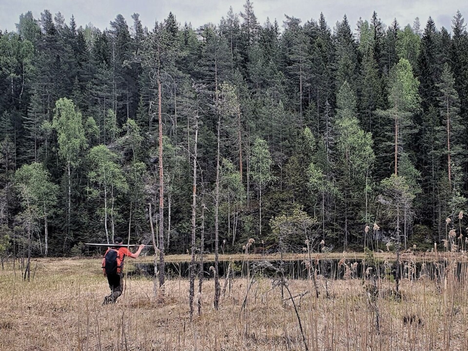 En geolog måtte bore ti meter ned i myr nær Paradisputten dypt inne i Østmarka i Oslo før han traff fjell.
