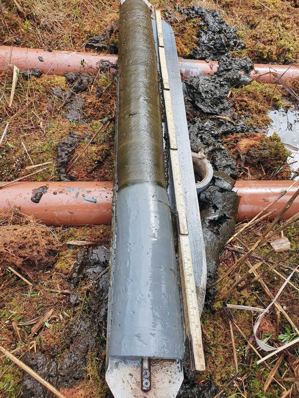 En kjerneprøve fra innsjøen Krøkle i Frogn. Forskerne fant ut at strandlinja lå 89 meter over dagens havnivå for cirka 9700 år siden. De brune sedimentene øverst er vanlig innsjøgjørme.