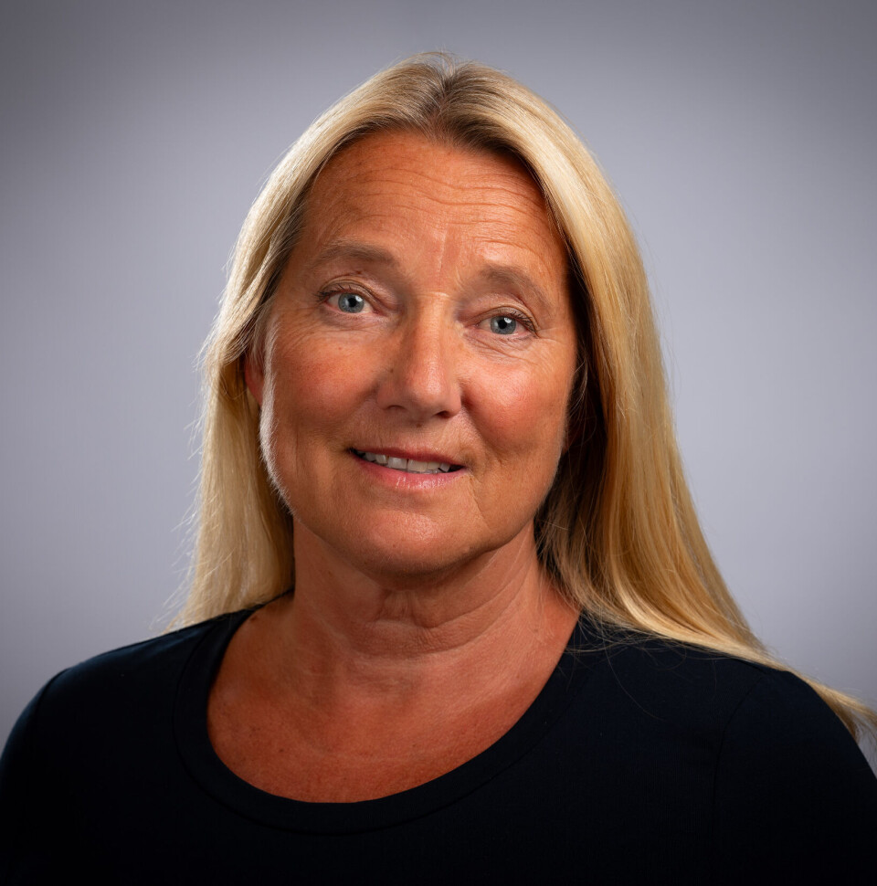 – Deltakerne synes det er veldig nyttig å få ideer fra andre kommuner. Det skjer gjennom gruppearbeid, webinarer og samlinger, sier forsker Trine Myrvold, ved By- og regionforskningsinstituttet NIBR ved OsloMet.