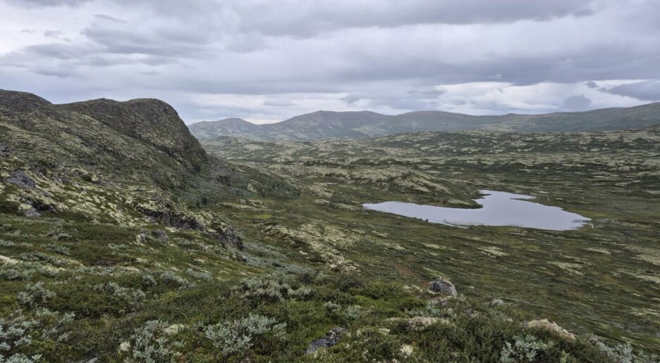 Her i Midt-Norge leter forskerne etter verdifulle mineraler og metaller