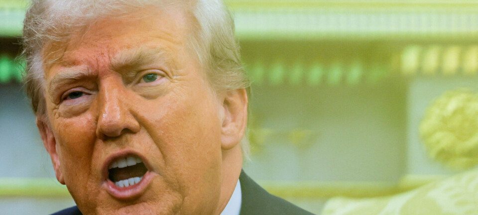 Dette sier forskningen om Trumps lederstil