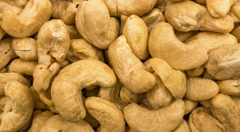 Vi spiser mer cashewnøtter – det får alvorlige konsekvenser