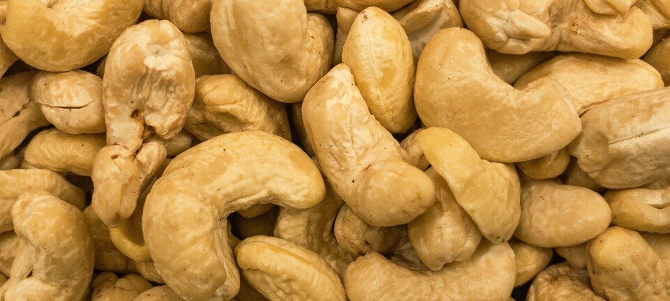 Vi spiser mer cashewnøtter – det får alvorlige konsekvenser