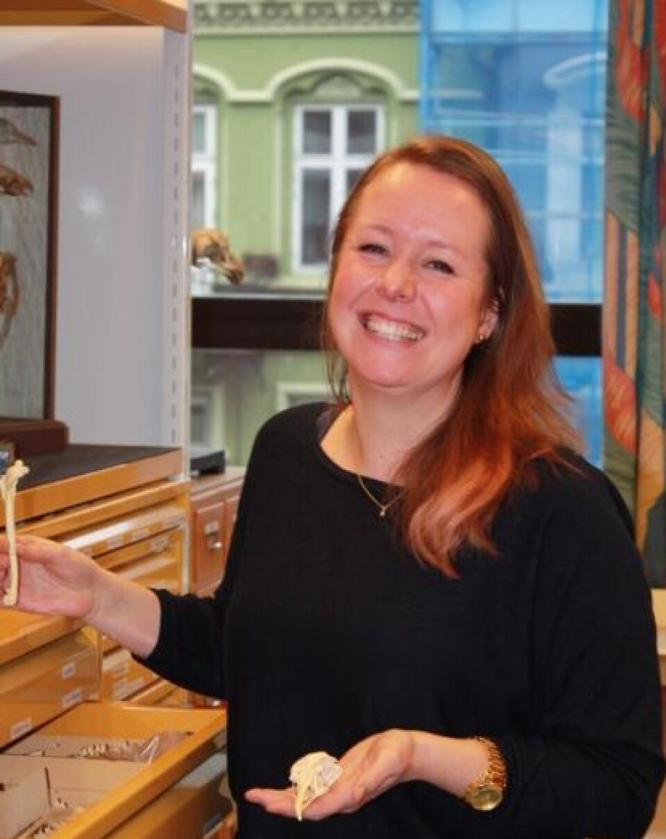 Hanneke J.M. Meijer er paleontolog ved Universitetet i Bergen. Hun forsker på fossiler.