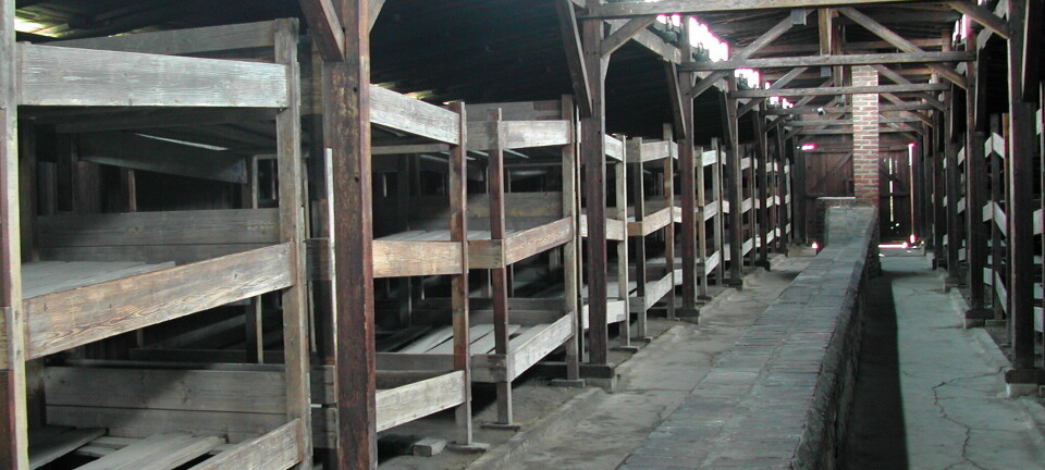 Hva betydde norskhet i nazi-leirene?