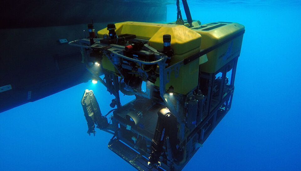 Forskerne brukte en fjernstyrt undervannsrobot. Den har kameraer som kan utforske havets dyp.