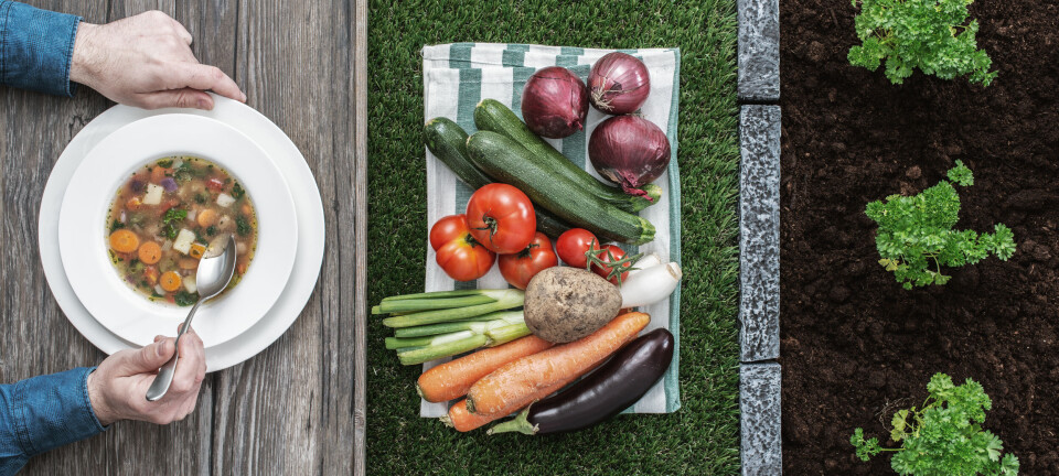 Slik kan husdyr bli matprodusenter