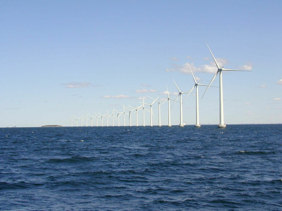 Norden er et av områdene med størst potensiale for vindkraftutbygging, ifølge modellen. Bildet viser Middelgrunden i Danmark hvor vindkraft allerede er bygget ut.